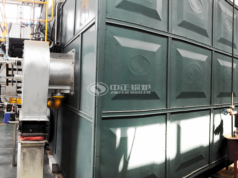 現代牧業(yè)25噸SZS系列冷凝式燃氣鍋爐項目