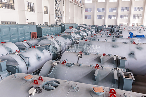 生物質(zhì)蒸汽鍋爐的價格 6噸生物質(zhì)發(fā)電鍋爐價格