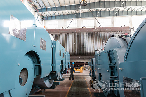 多樂生物質蒸汽鍋爐 ，生物質鍋爐價格/報價是多少