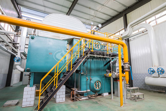 燃?xì)忮仩t項(xiàng)目可行性報(bào)告