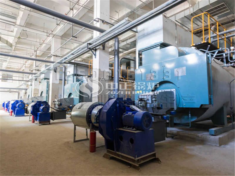 60噸生物質(zhì)循環(huán)流化床鍋爐廠家